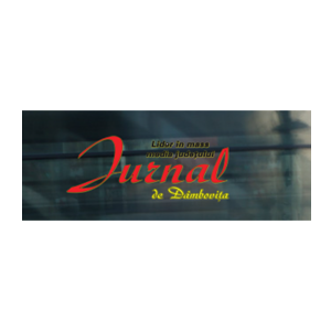 CJD vrea preluarea temporară a unui sector din DJ 713